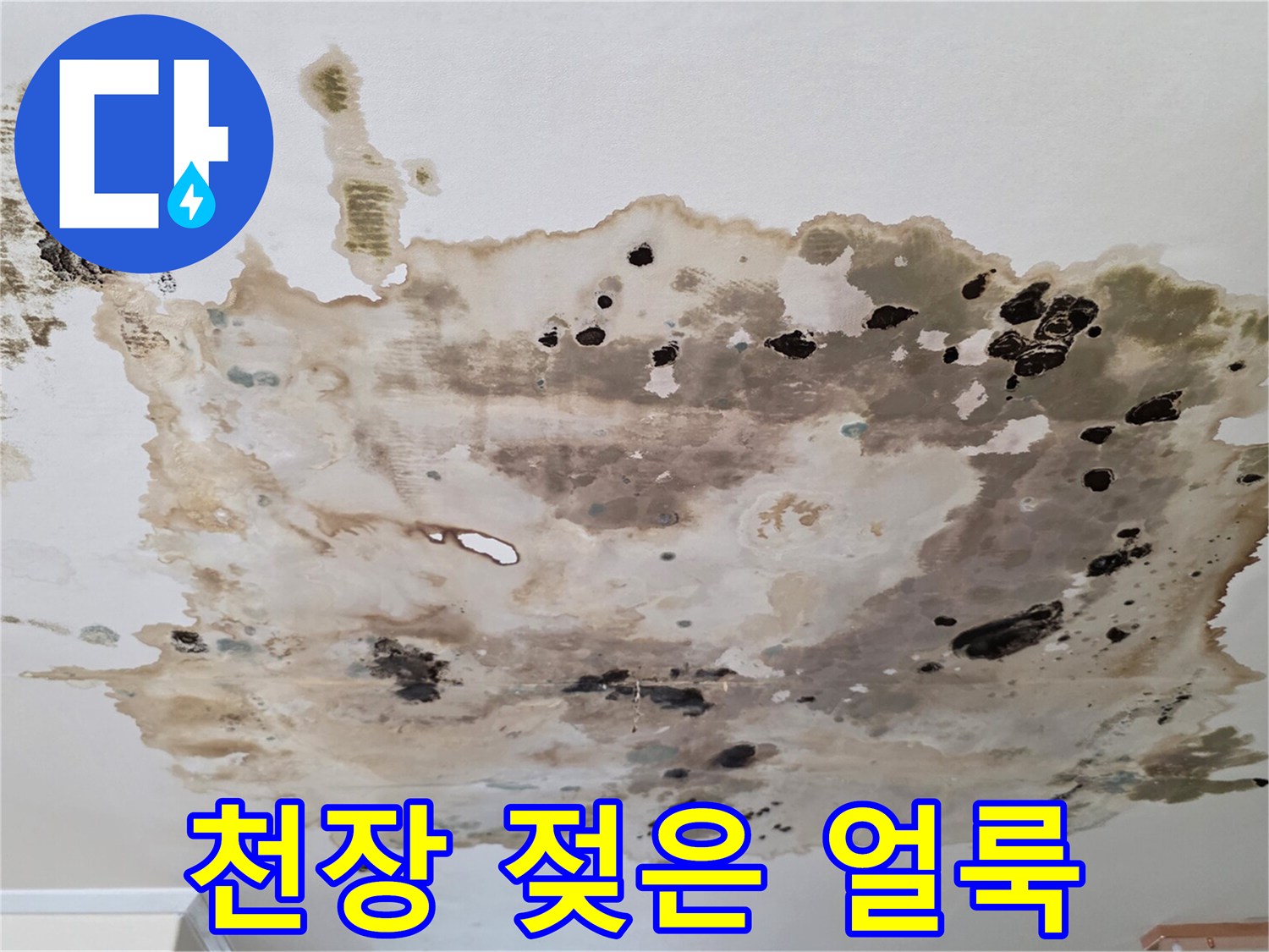 천장-벽지-사이로-번진-누수와-곰팡이