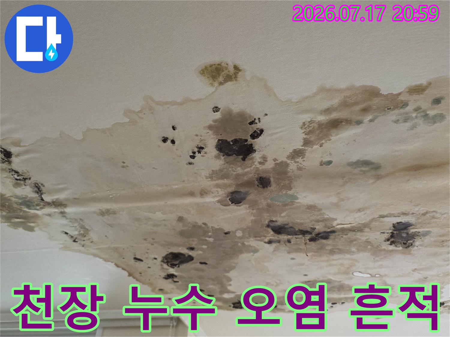 천장에 발생한 누수 얼룩과 곰팡이 피해 상황