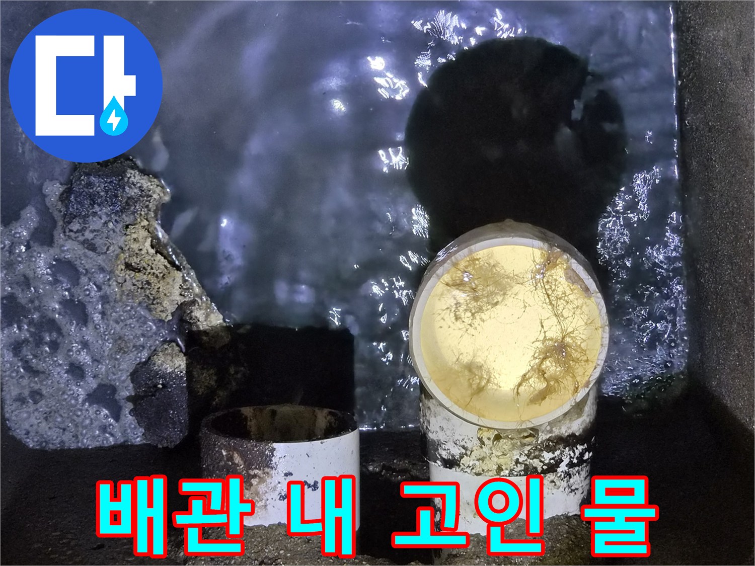 배관 내부의 오수가 정체되어 있는 모습