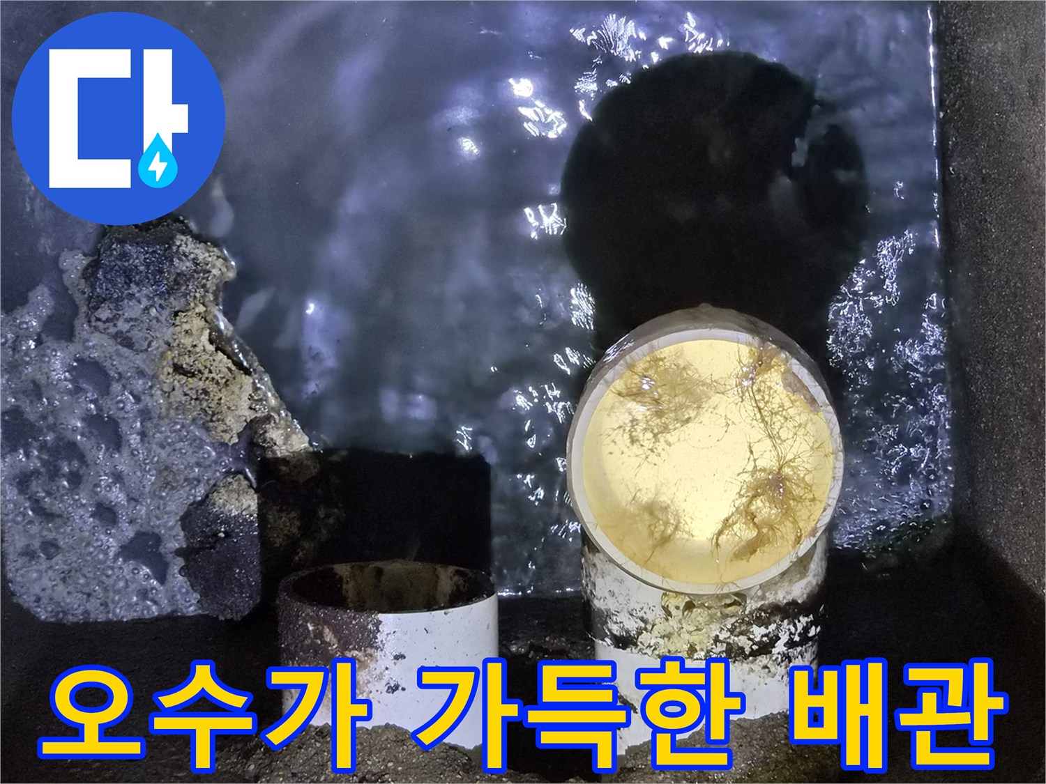 역류가 발생한-배수관 내부 모습