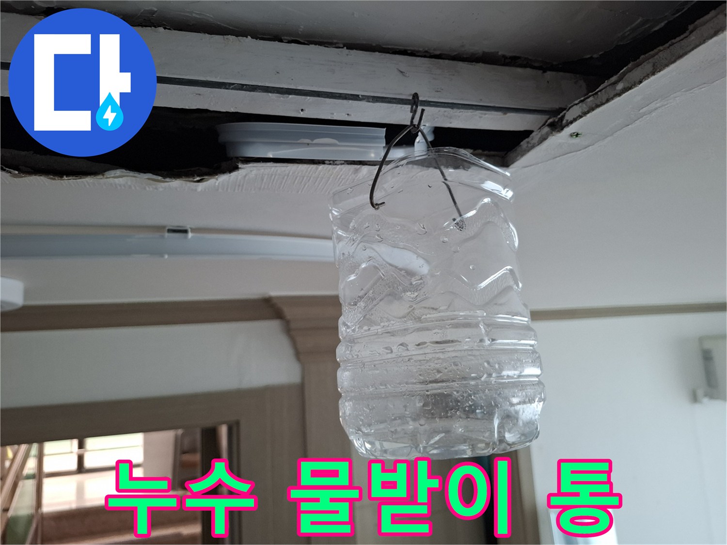 천장-틈새에서-떨어지는-물을-받는-임시-용기