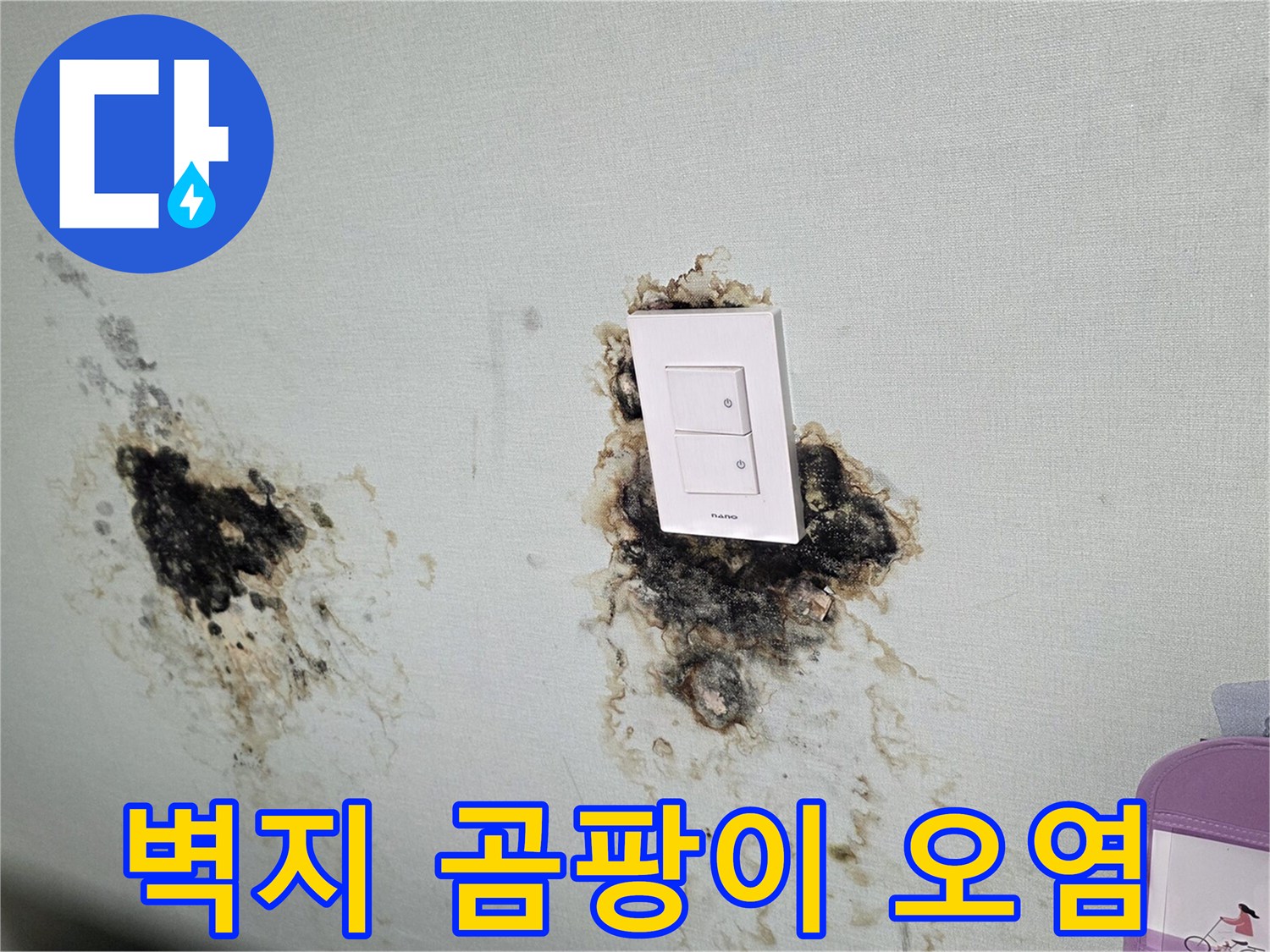 스위치 근처에 넓게 퍼진 검은색 곰팡이와 벽지 변색