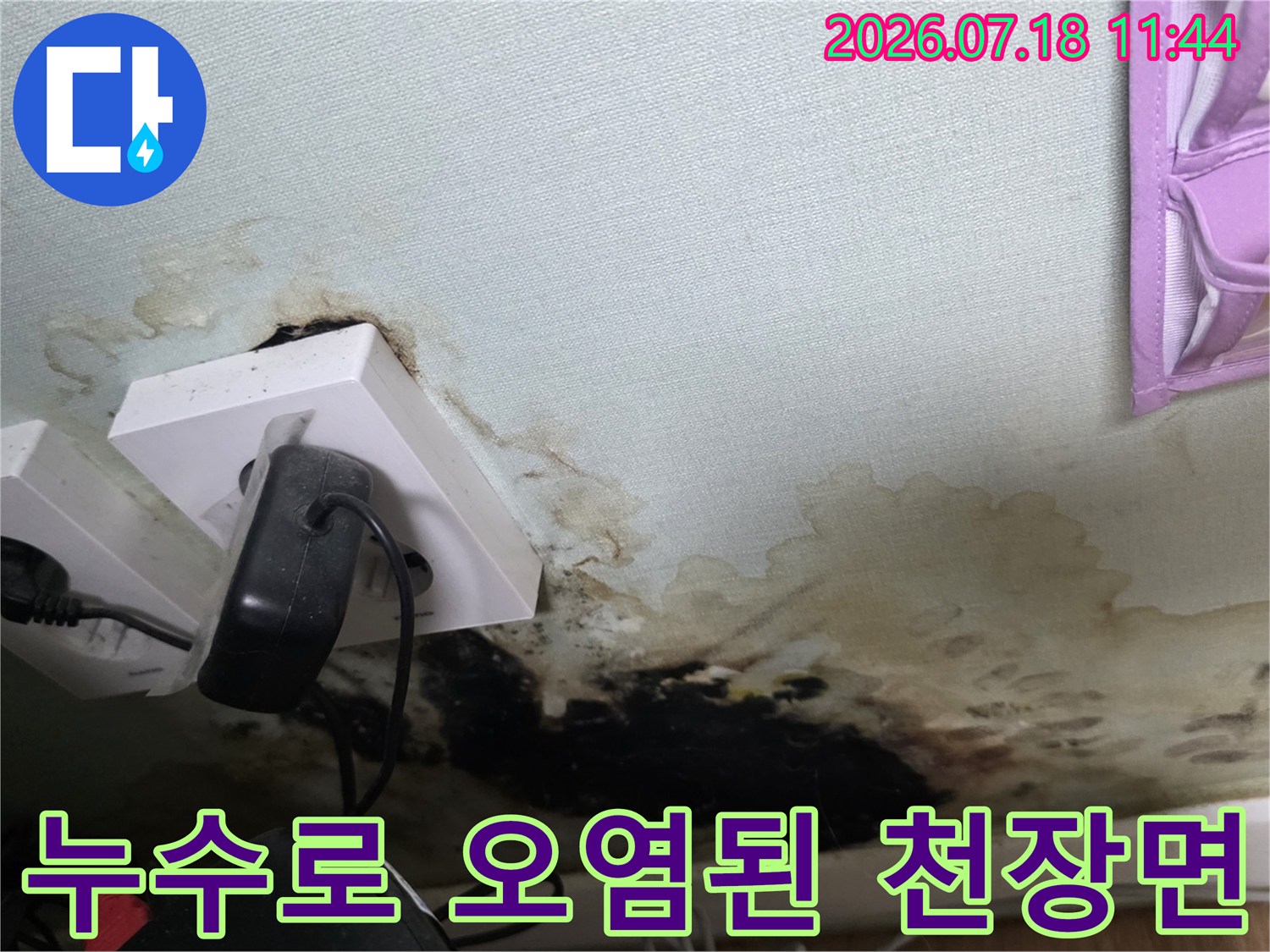 천장 배관 주변에 발생한 누수 흔적과 곰팡이 오염 상태