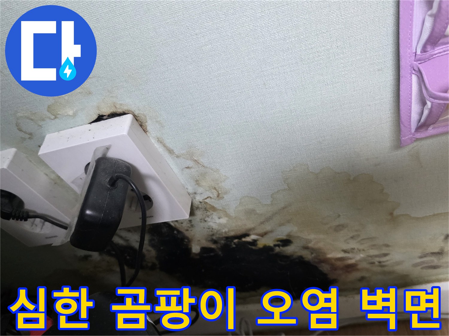 콘센트 아래쪽으로 넓게 퍼진 검은색 곰팡이와 습기 흔적