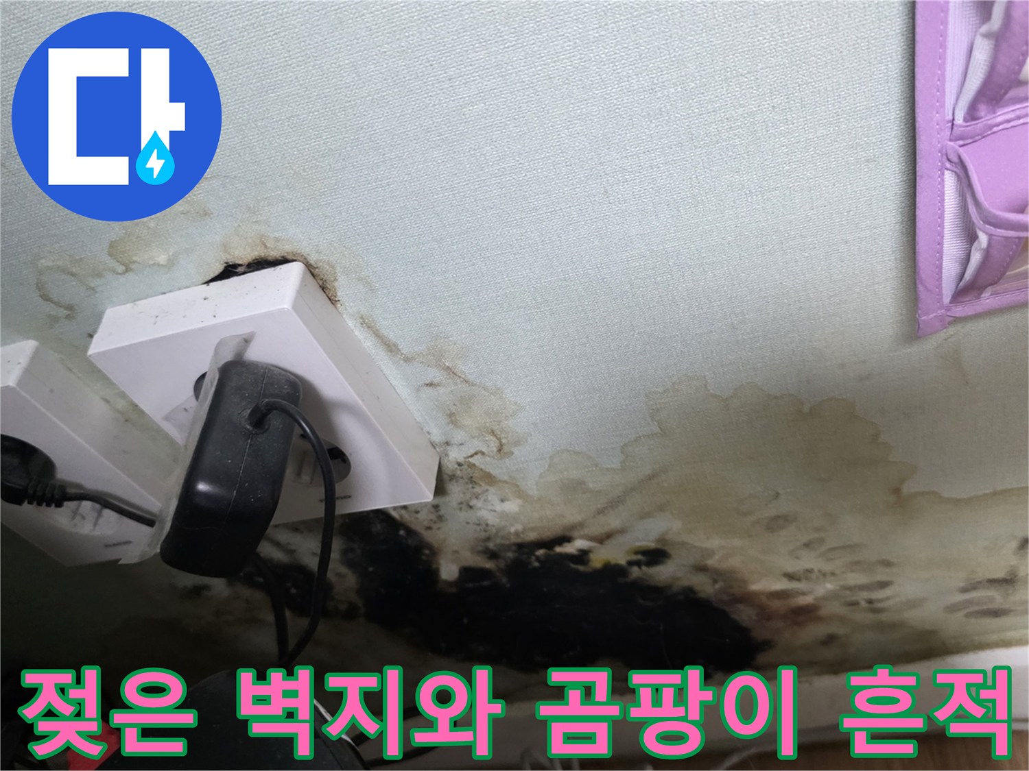 콘센트 주변으로 번진 검은색 곰팡이와 습기 침투 흔적