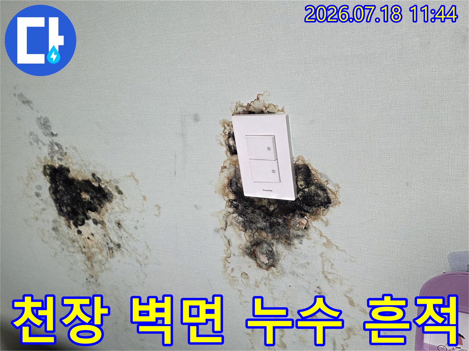 화장실 천장 내 콘센트 주변에 발생한 곰팡이와 누수 얼룩 촬영