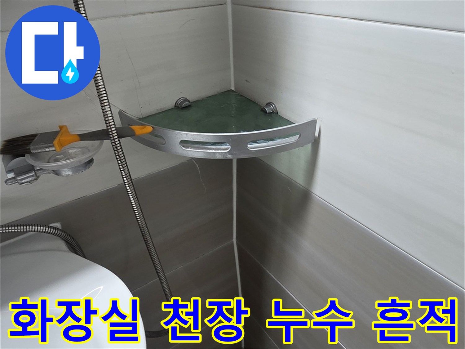 천장-타일-사이-백화현상-및-습기