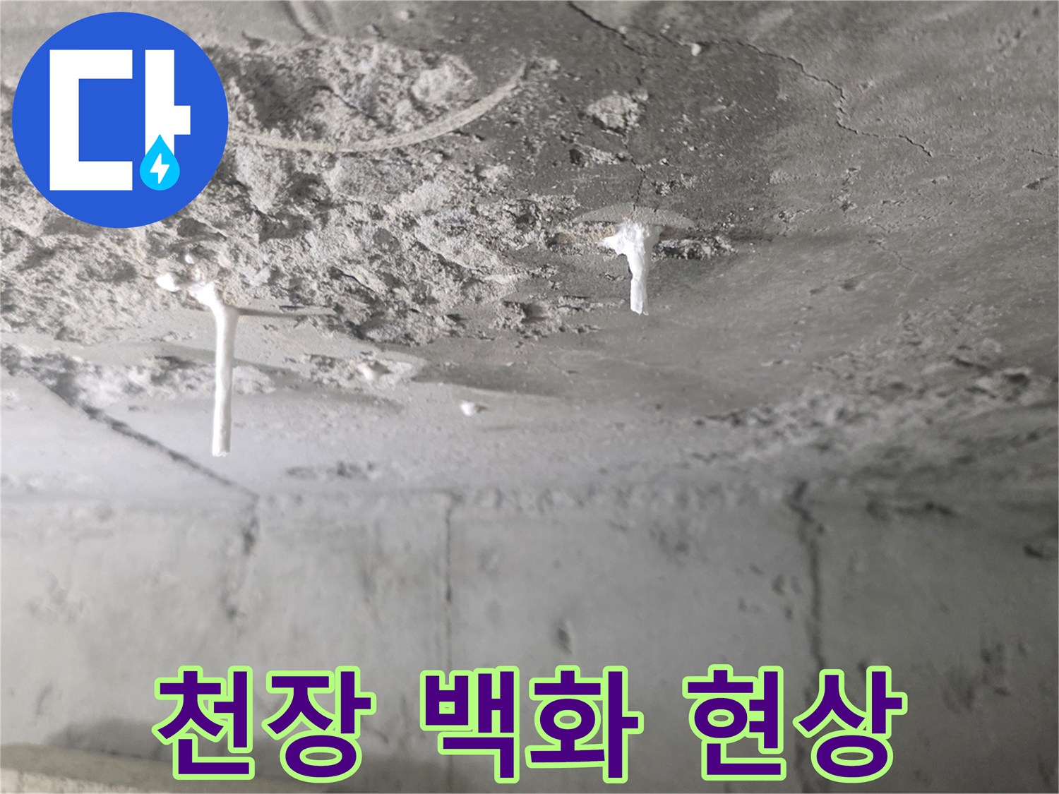 콘크리트-슬라브-백화현상-및-습기-상태