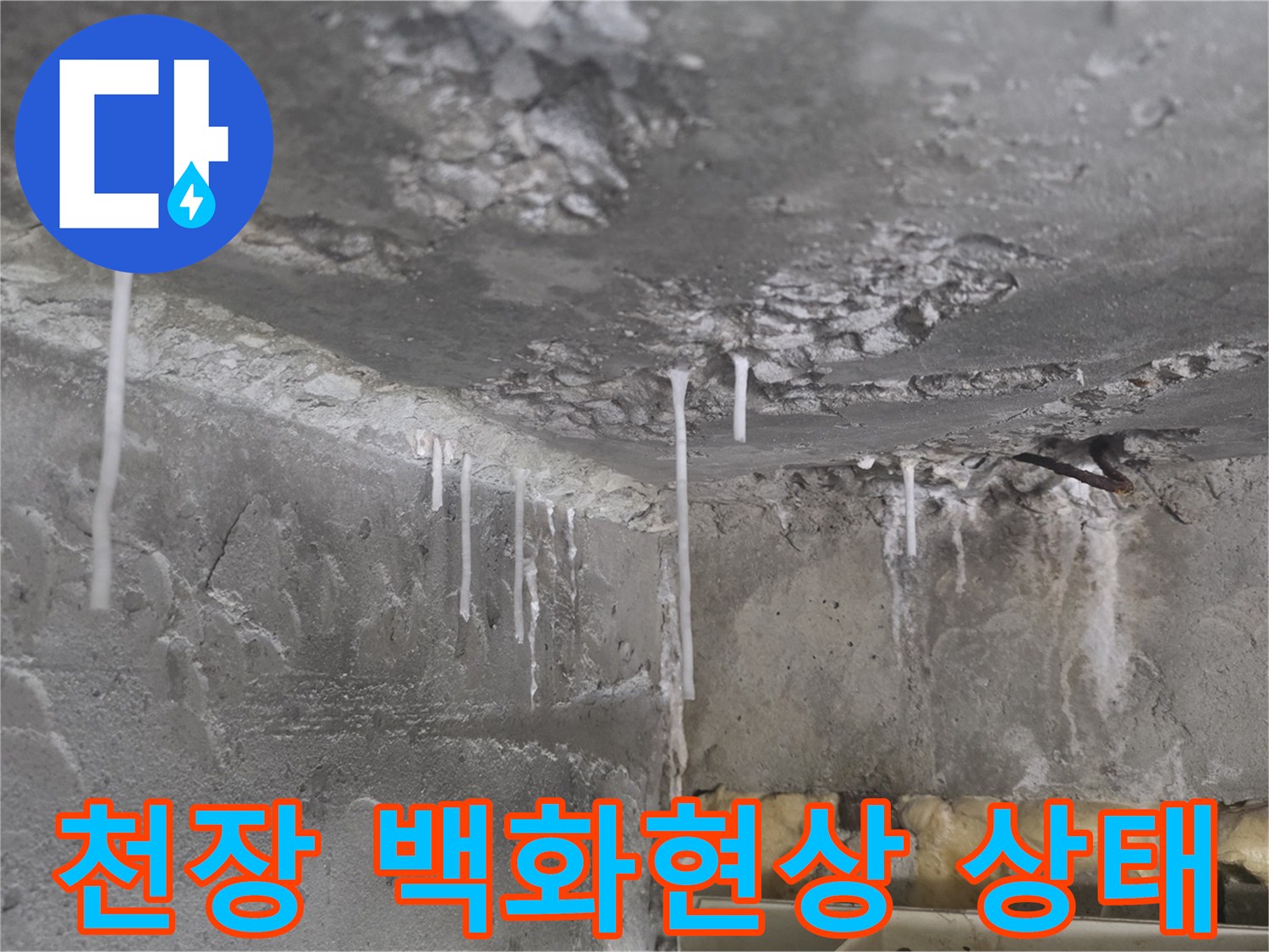 콘크리트 슬라브-석회물이 맺힌-백화 현상