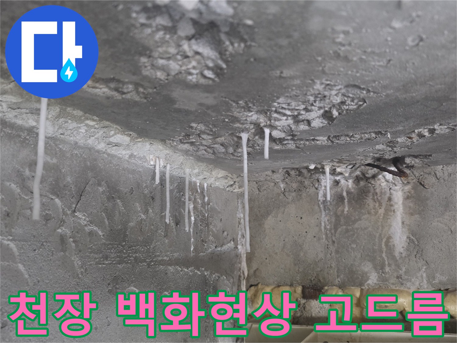 콘크리트 슬라브-석회물이 맺힌 백화현상 상태