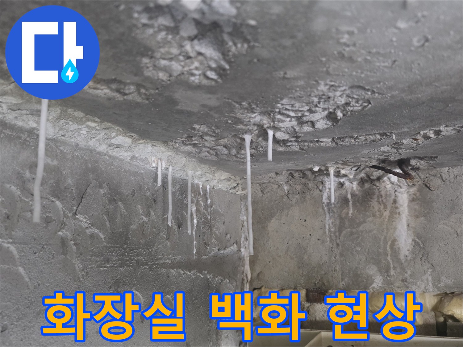 하얀색 석회물이 맺혀 있는 화장실 천장 콘크리트 면