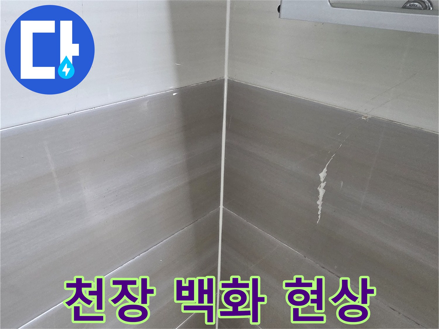 화장실 천장 슬라브에 하얗게 맺힌 백화 현상 이미지