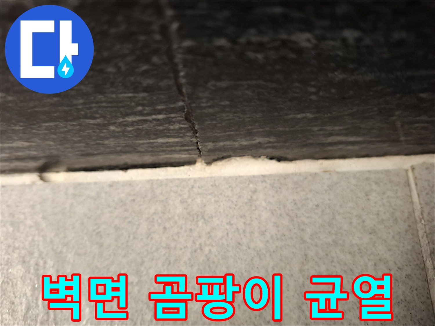 거실-벽면-하단부-곰팡이가-발생한-상태