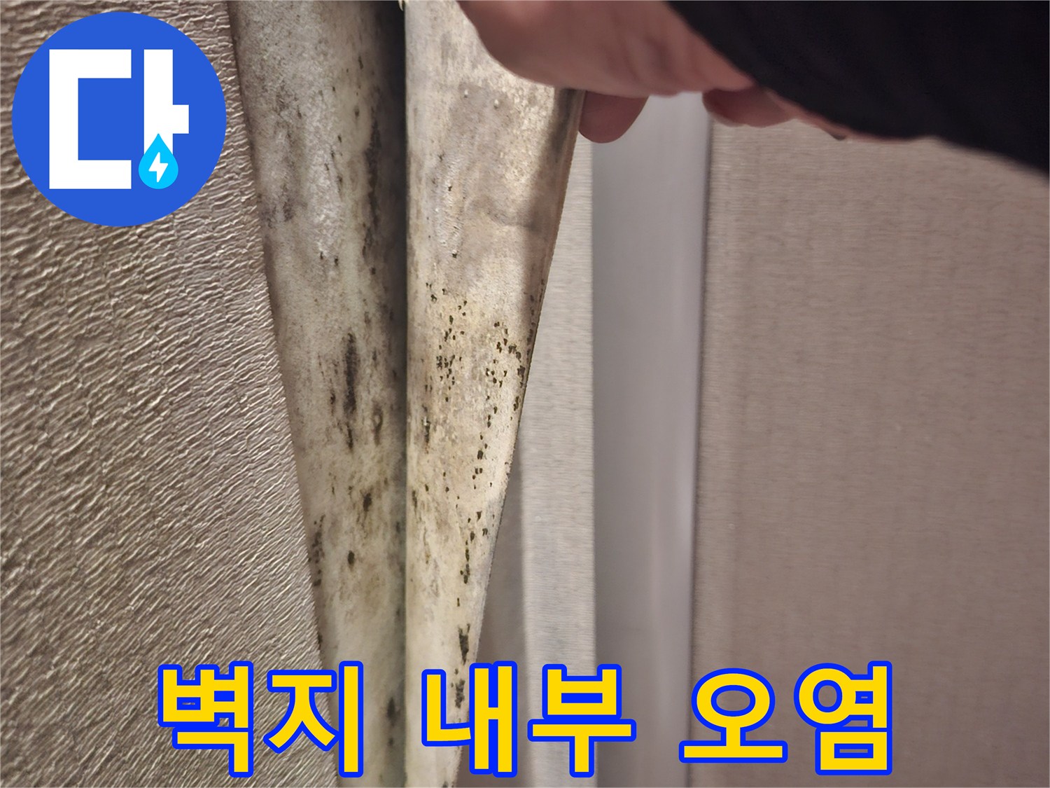 벽지 뒤편에 발생한 곰팡이와 습기 흔적