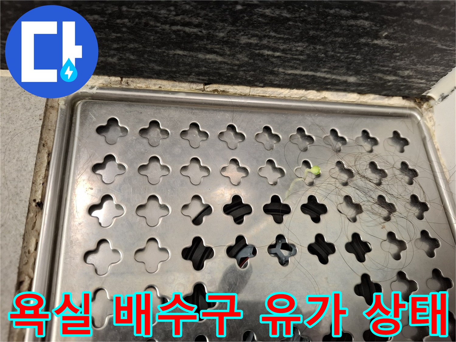 스테인리스-배수구-유가-내부-이물질-및-틈새-확인