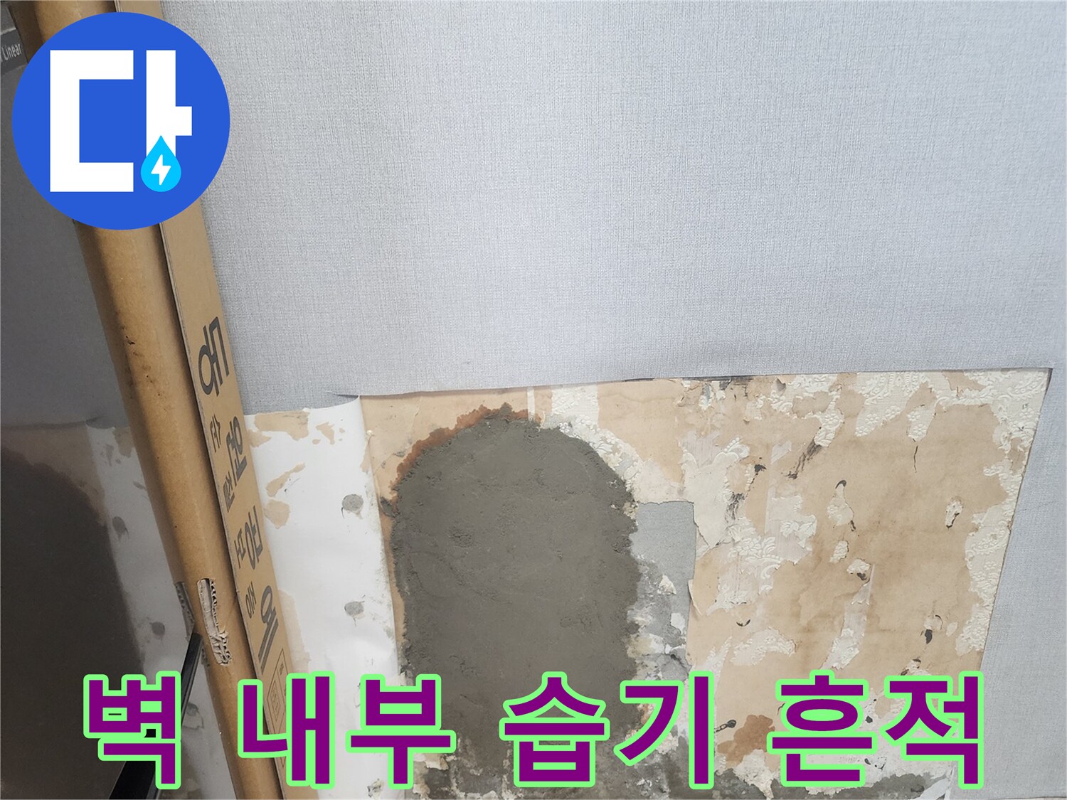 누수 탐지 후 드러난-습기 머금은 벽면