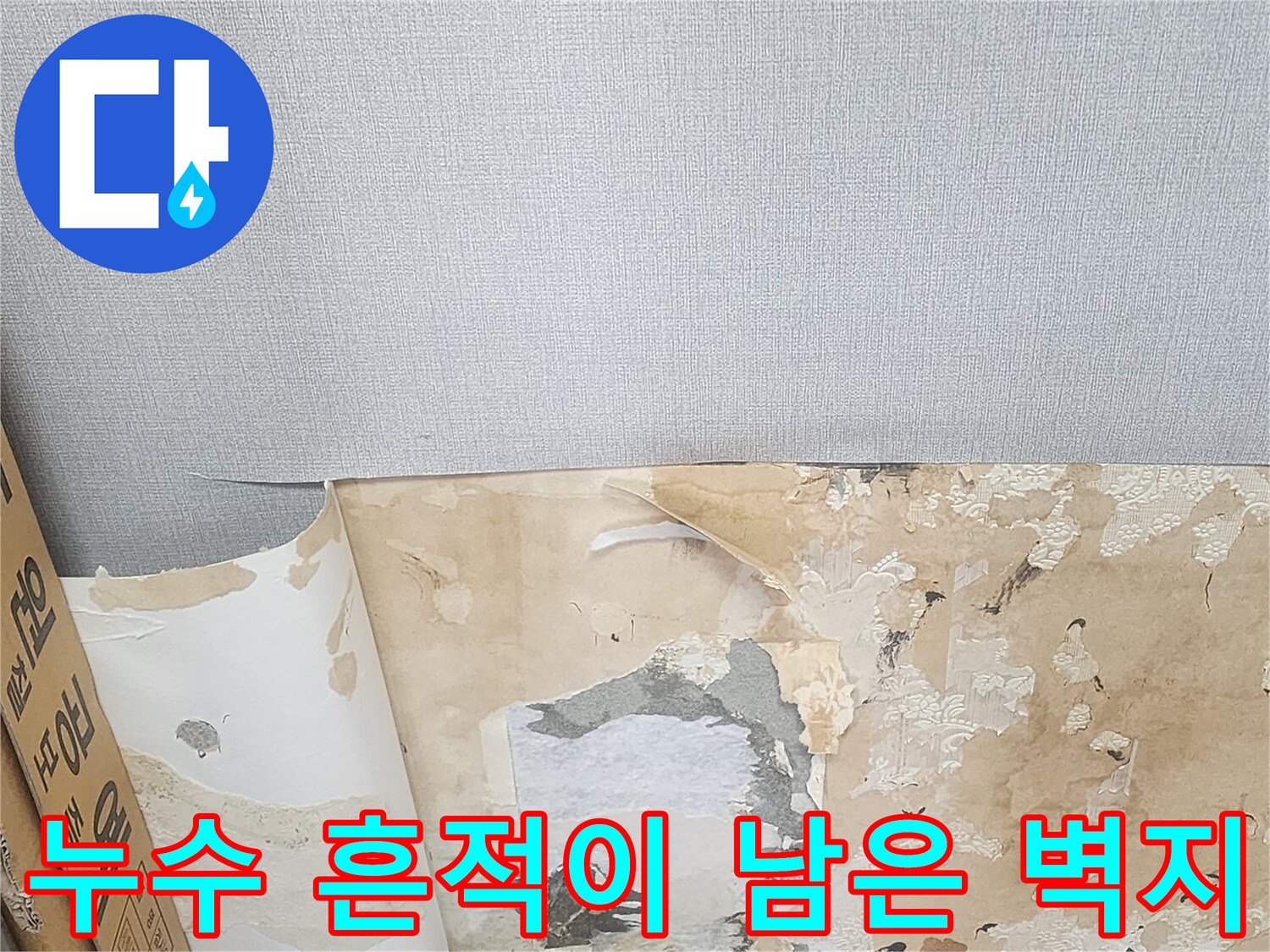 물샘-흔적으로-오염된-벽지-상태
