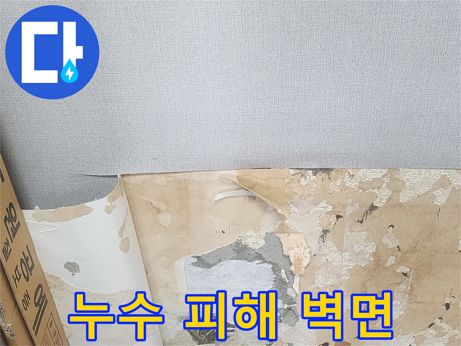 습기로 인해 훼손된 벽지와 내부 마감재 상태