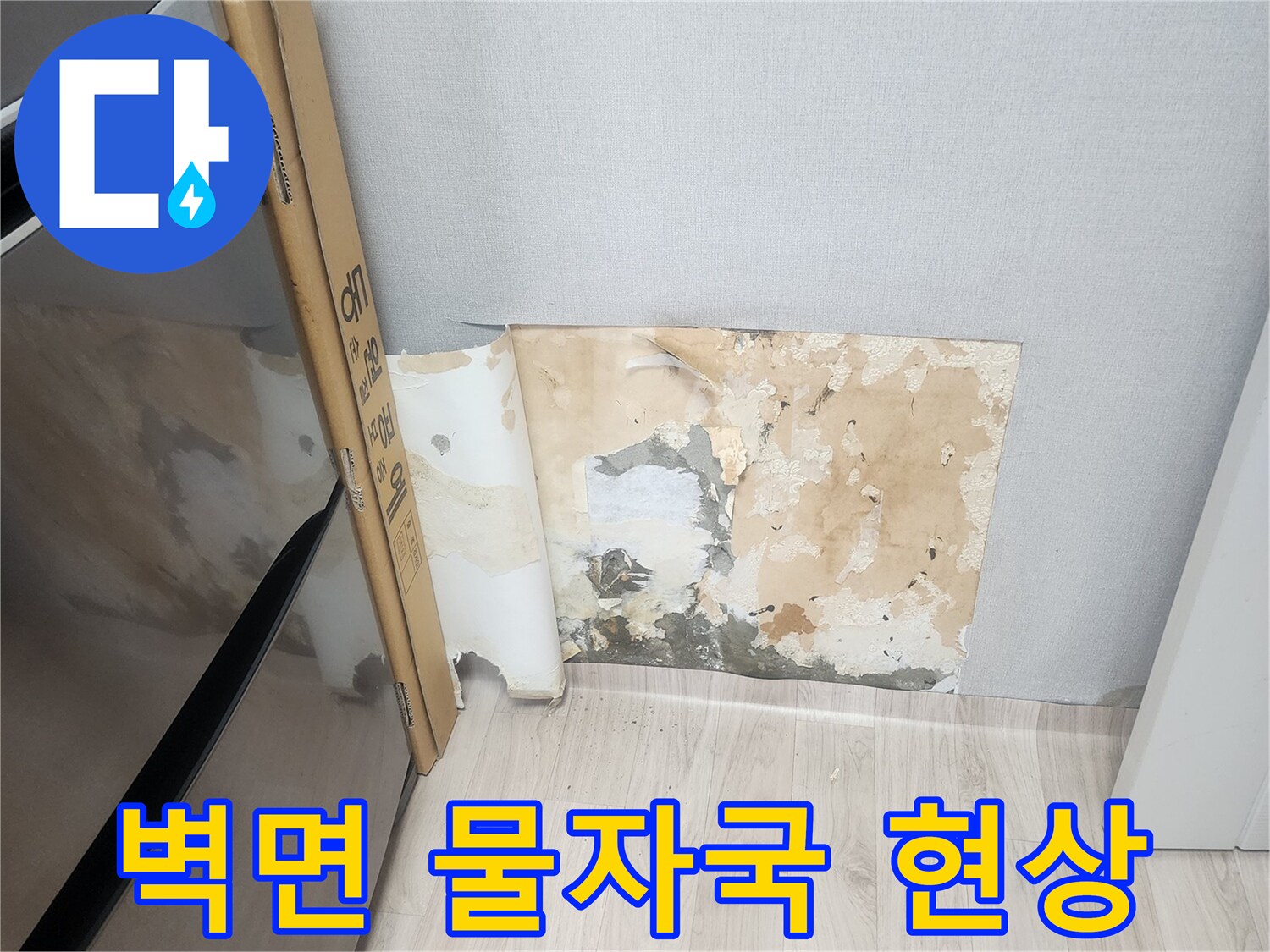 양천구-벽지-누수-얼룩-및-변색-현황