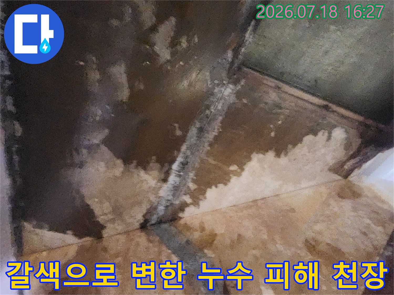 천장 마감재 표면에 물샘으로 인한 갈색 얼룩과 곰팡이가 형성된 모습