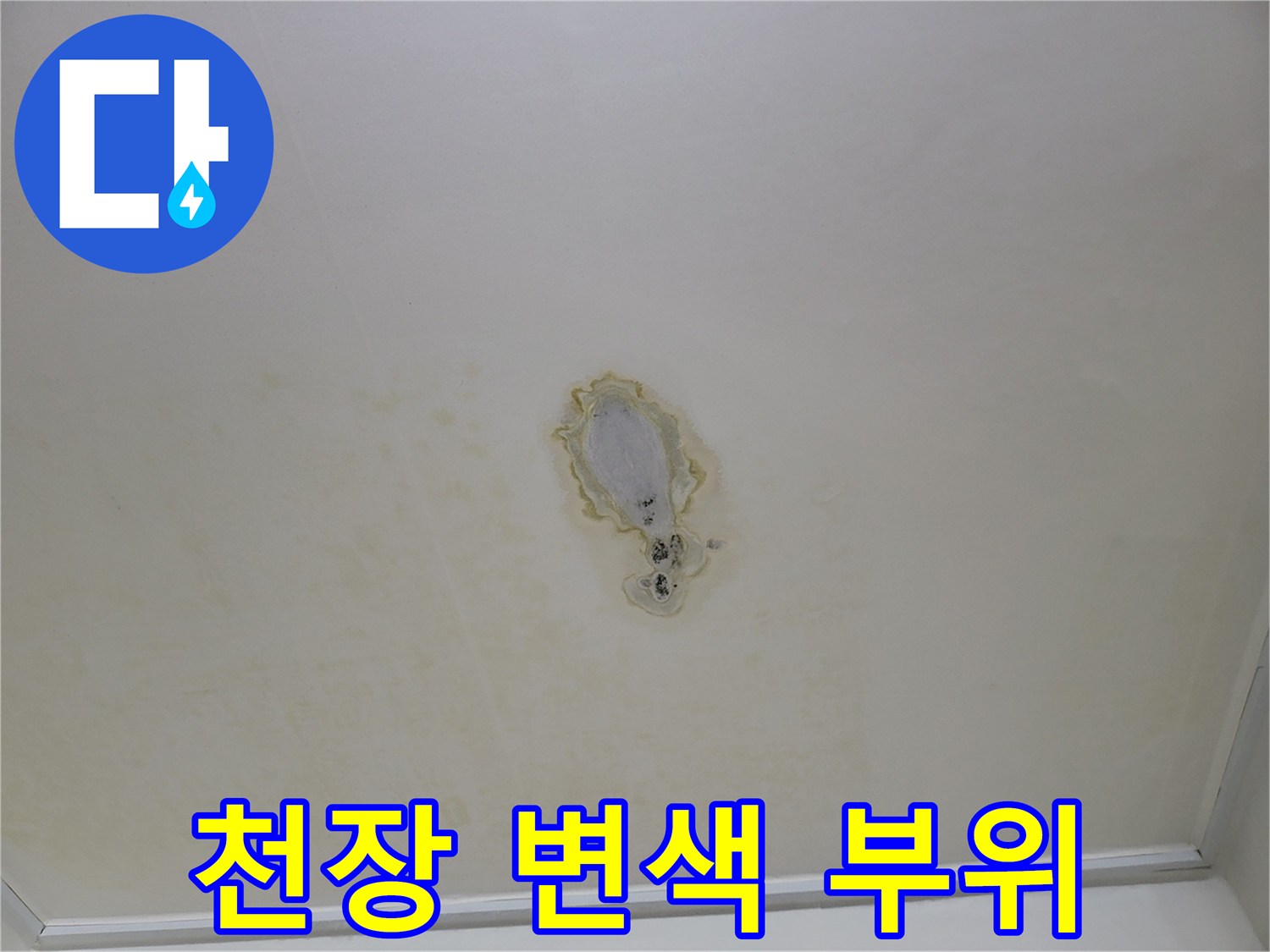 천장-중앙부의-심한-변색과-물자국