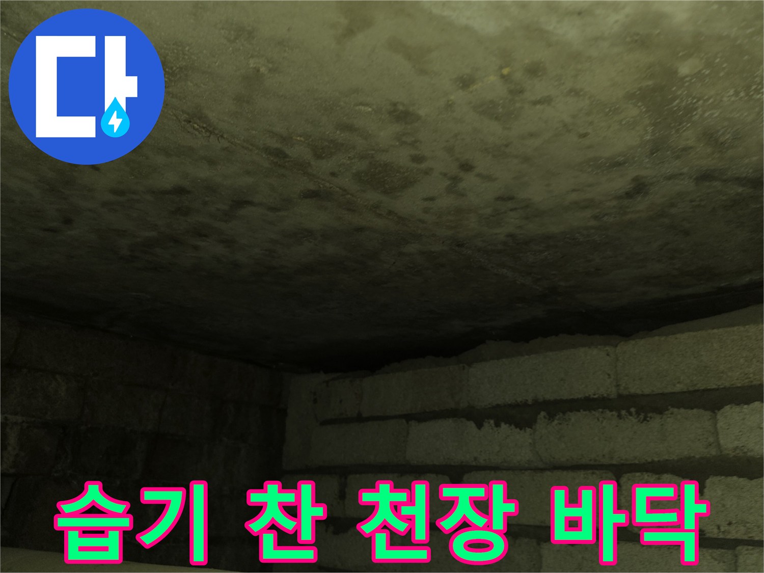 물에 젖어 어둡게 변색된 화장실 천장 슬래브