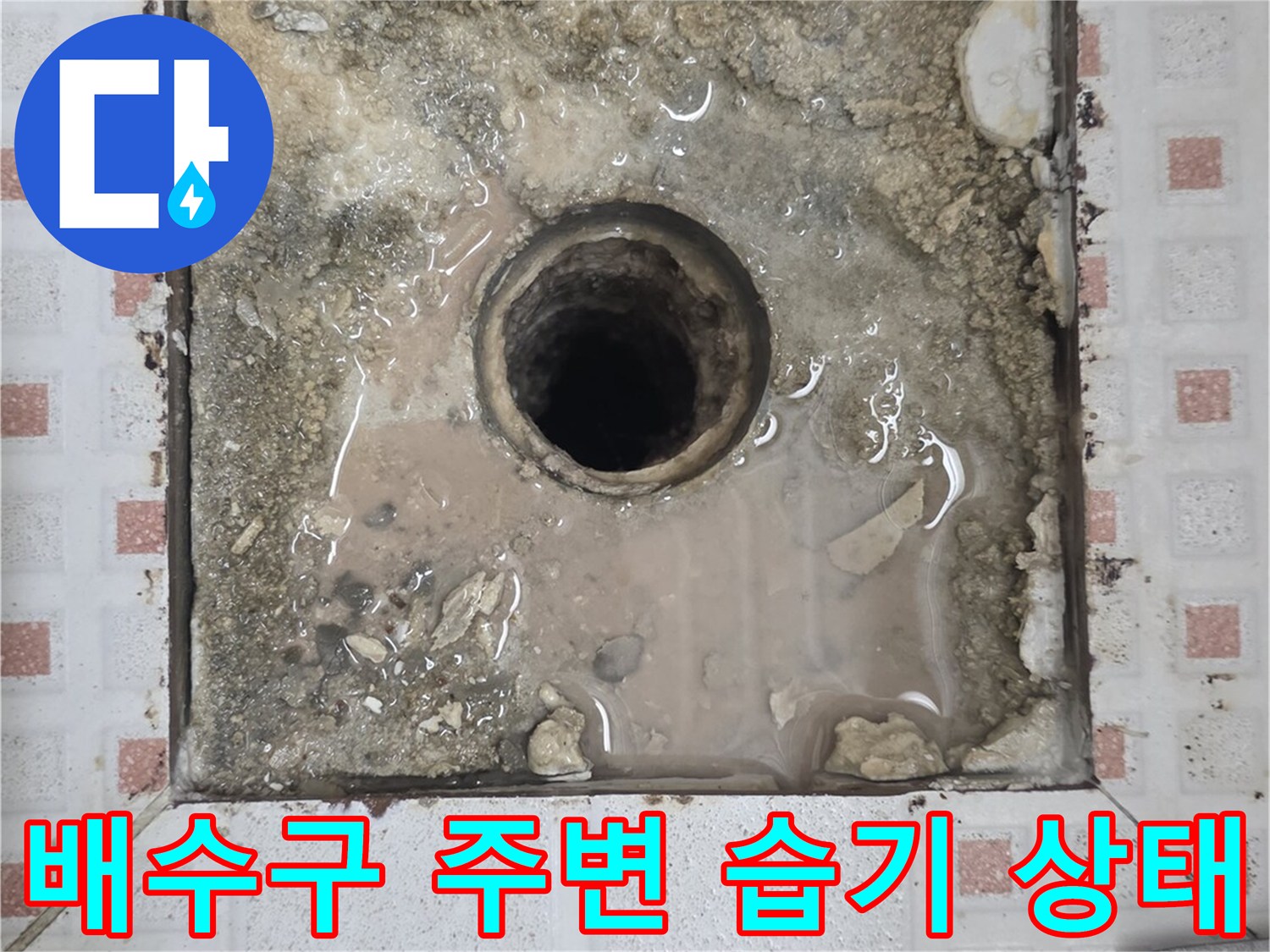 젖어있는-하수구-주변의-타일-틈새