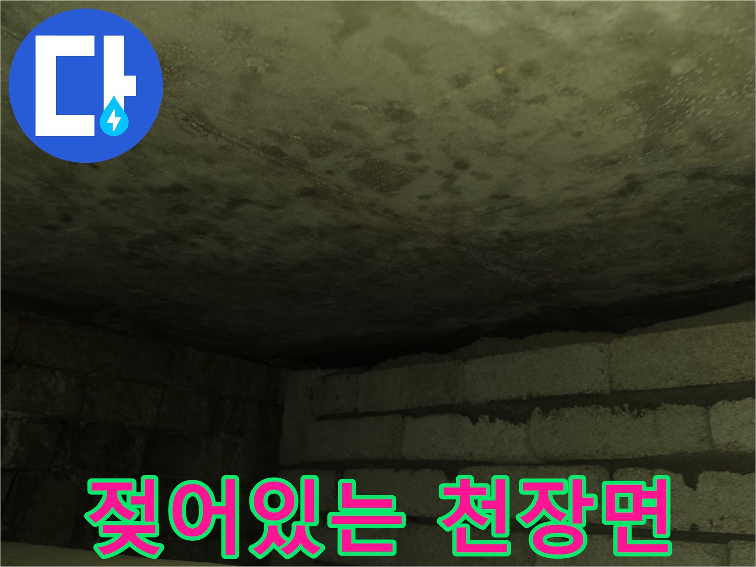 축축하게 젖어 있는 화장실 천장 구조체