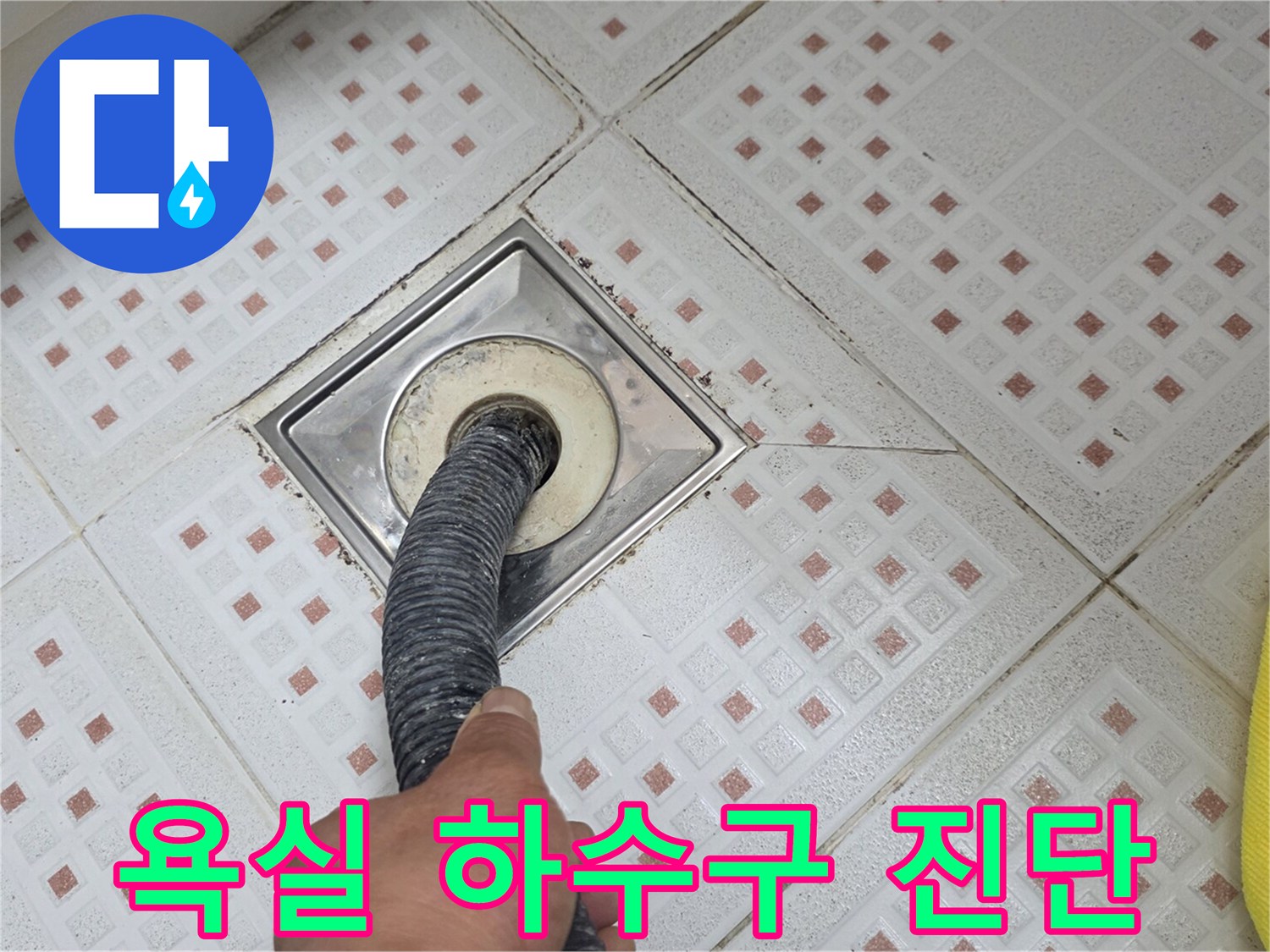 하수구 유가 주변의 배관과 타일 틈새를 살펴보는 장면