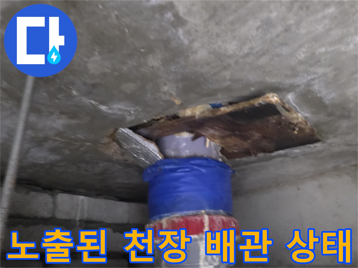화장실 천장 슬래브 아래 연결된 하수 배관 모습