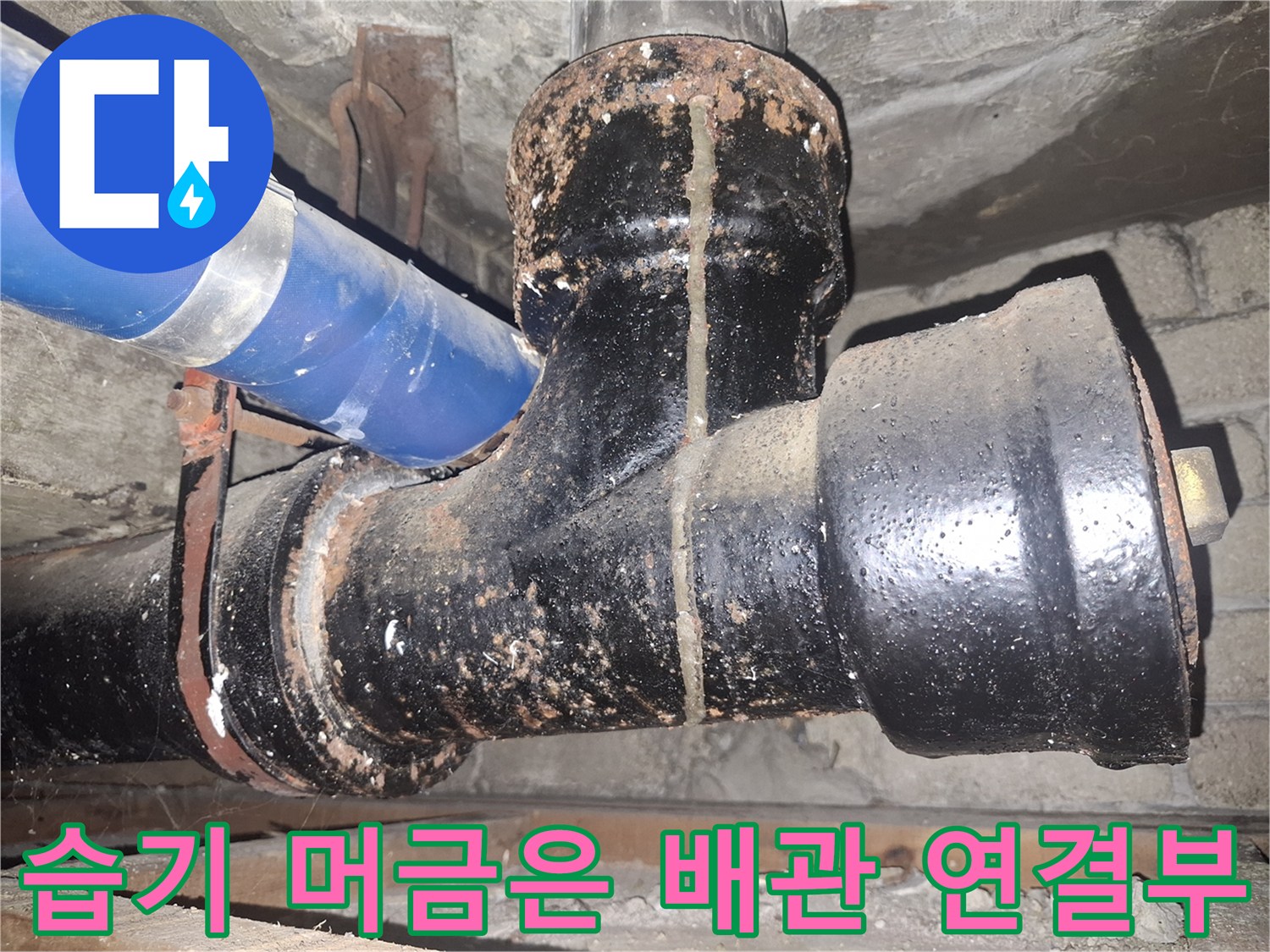물기가 스며든-검은색 하수도 배관 부위
