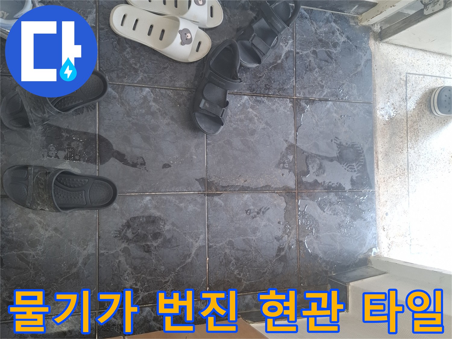 송파구 아파트 현관 입구의 젖은 타일 바닥 모습