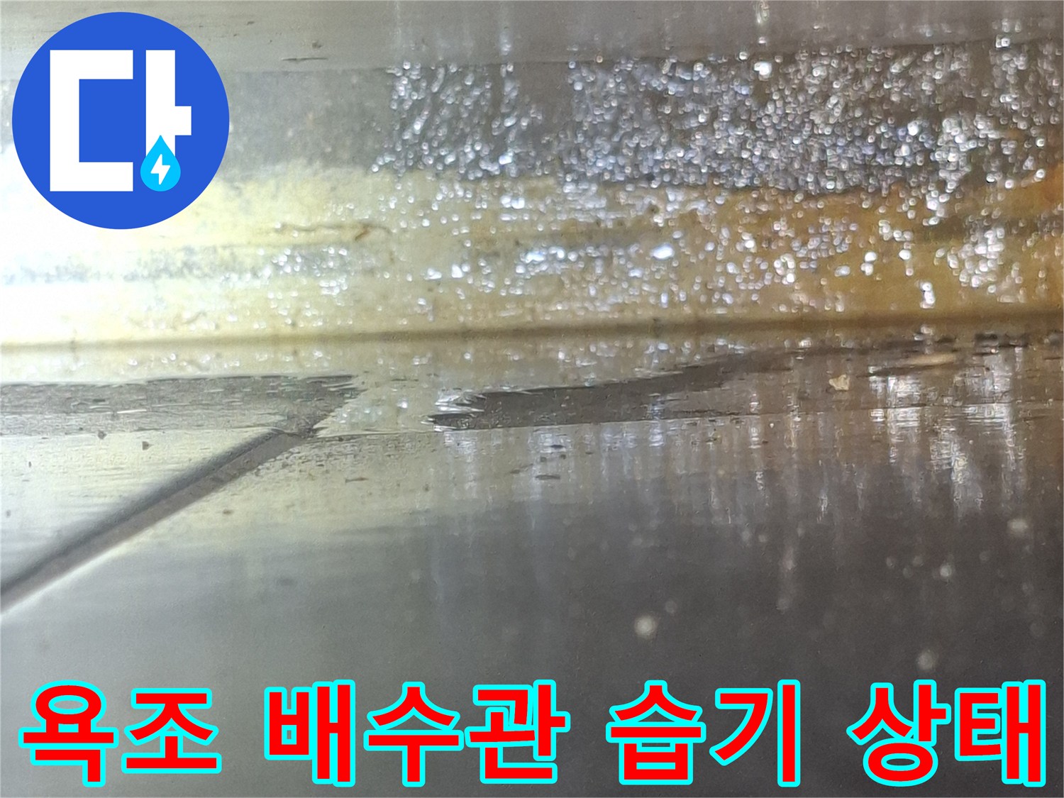 욕조-배수구-주변의-젖어있는-배관-상태