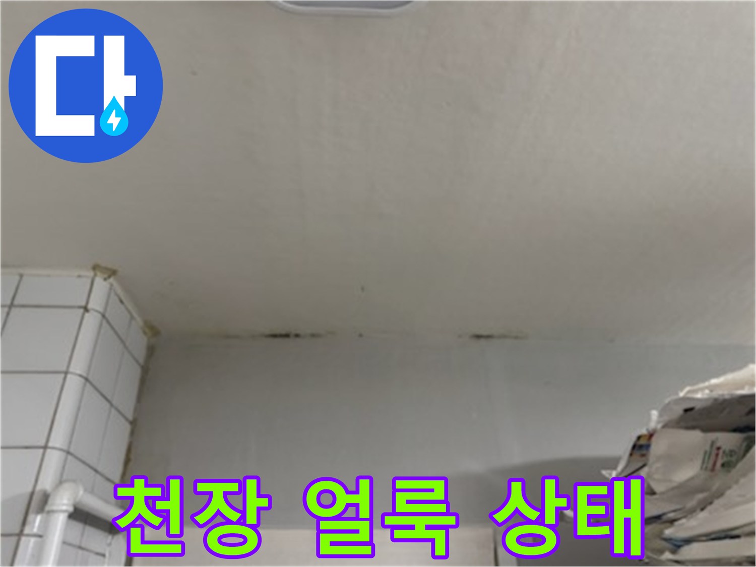 거실-천장-벽면-경계-얼룩-점검