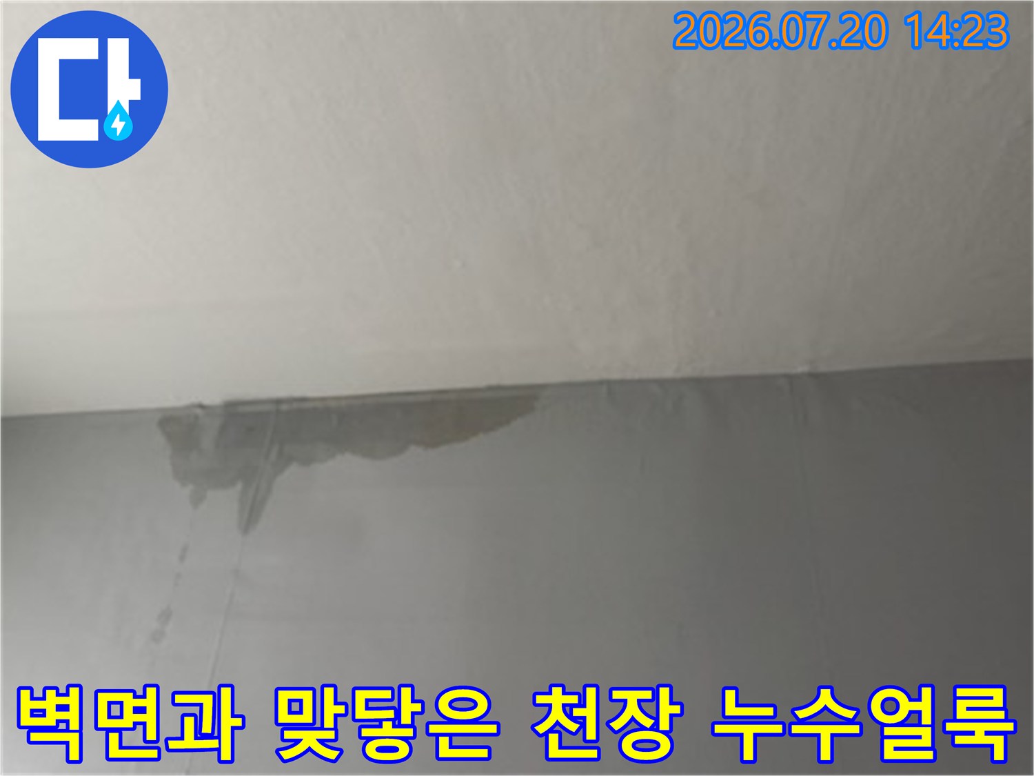 거실 천장의 벽체 경계선을 따라 번진 대형 누수 얼룩
