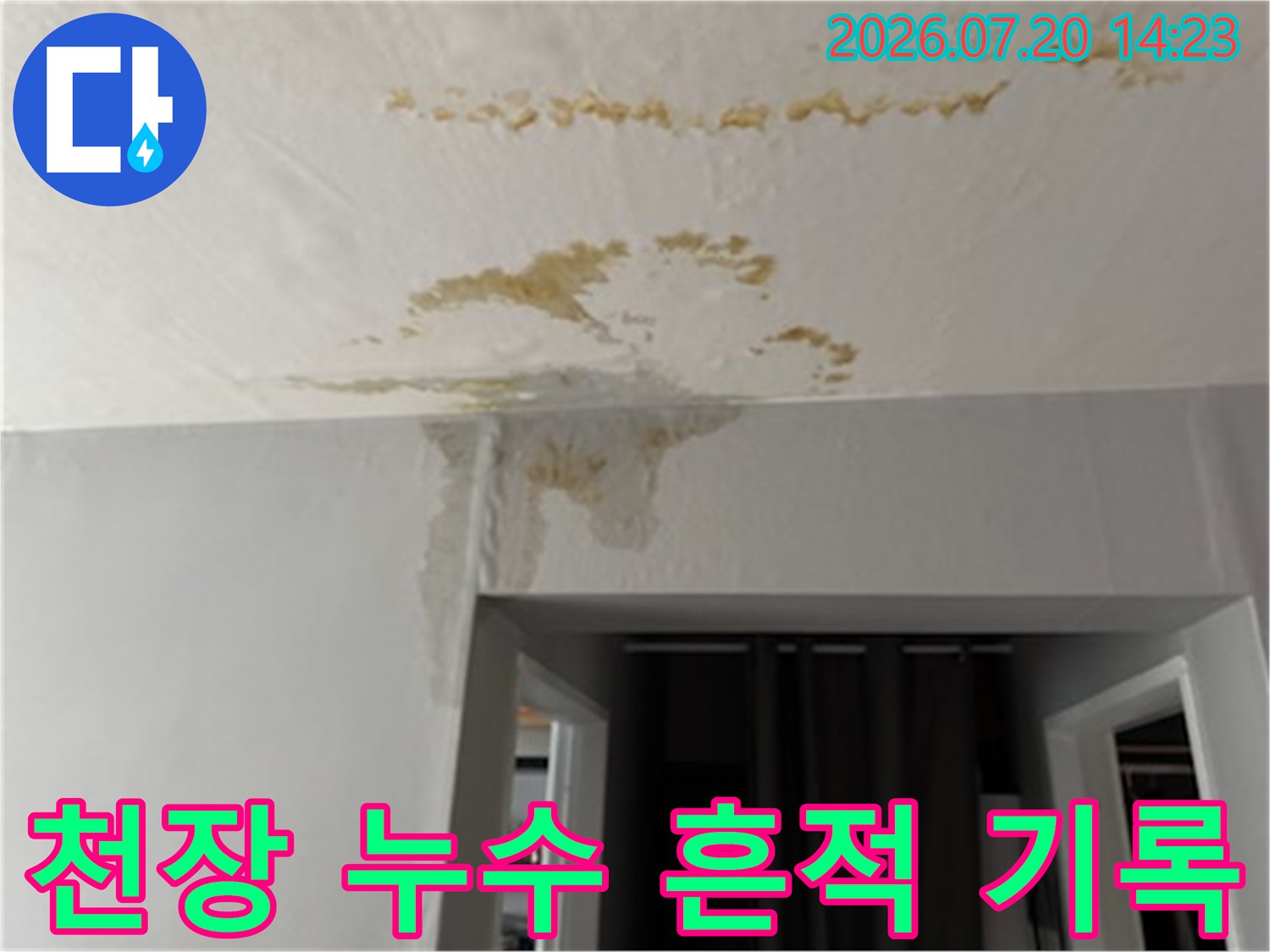 거실 천장의 변색된 물자국과 젖어버린 마감재 상태를 보여주는 사진