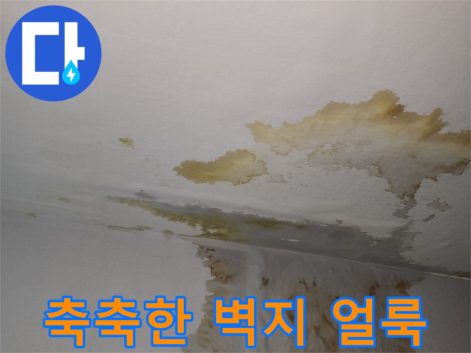 물샘-증상이-나타난-아파트-벽면