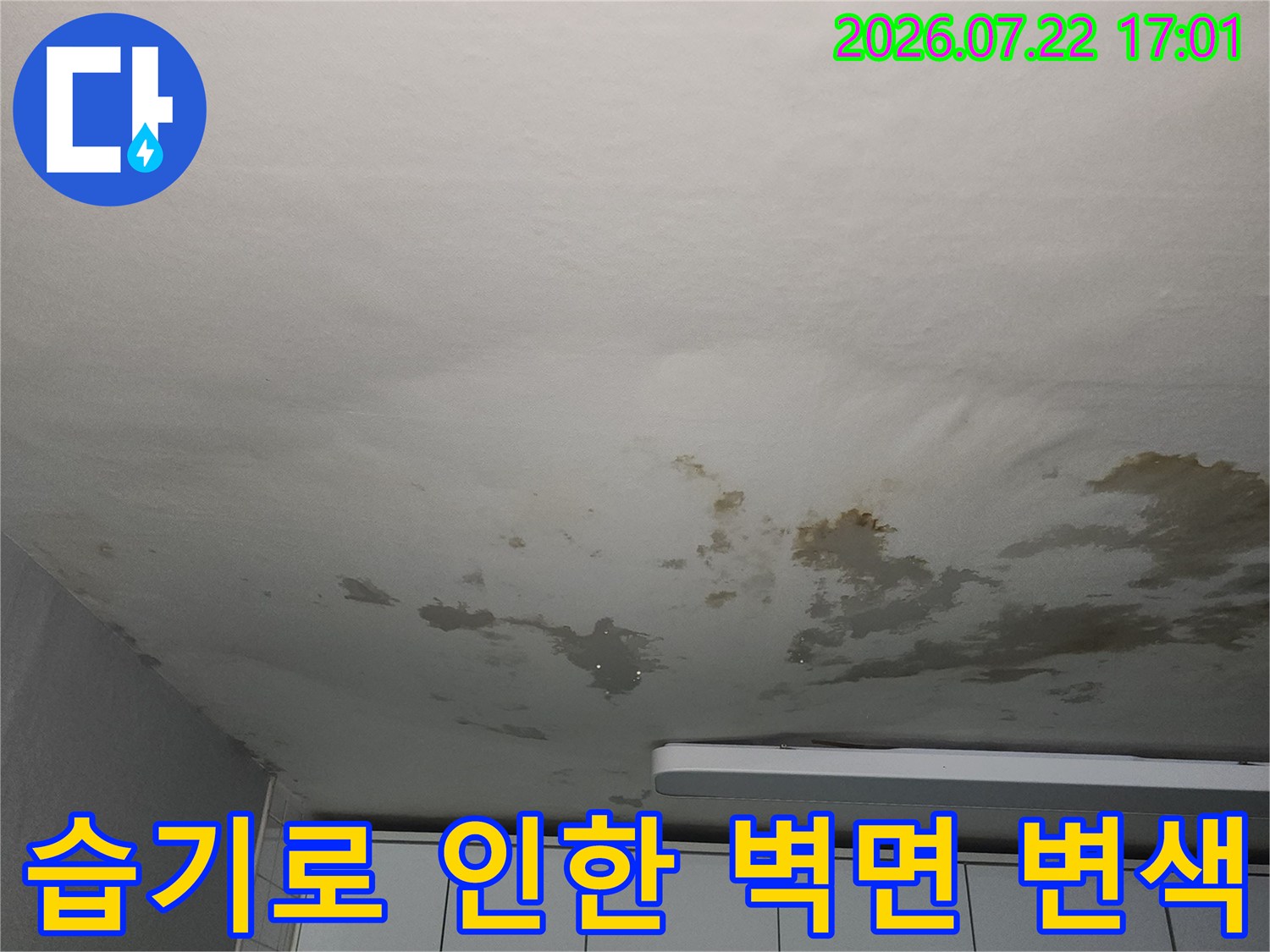 물에 젖어 들고 얼룩이 생긴 실내 천장벽