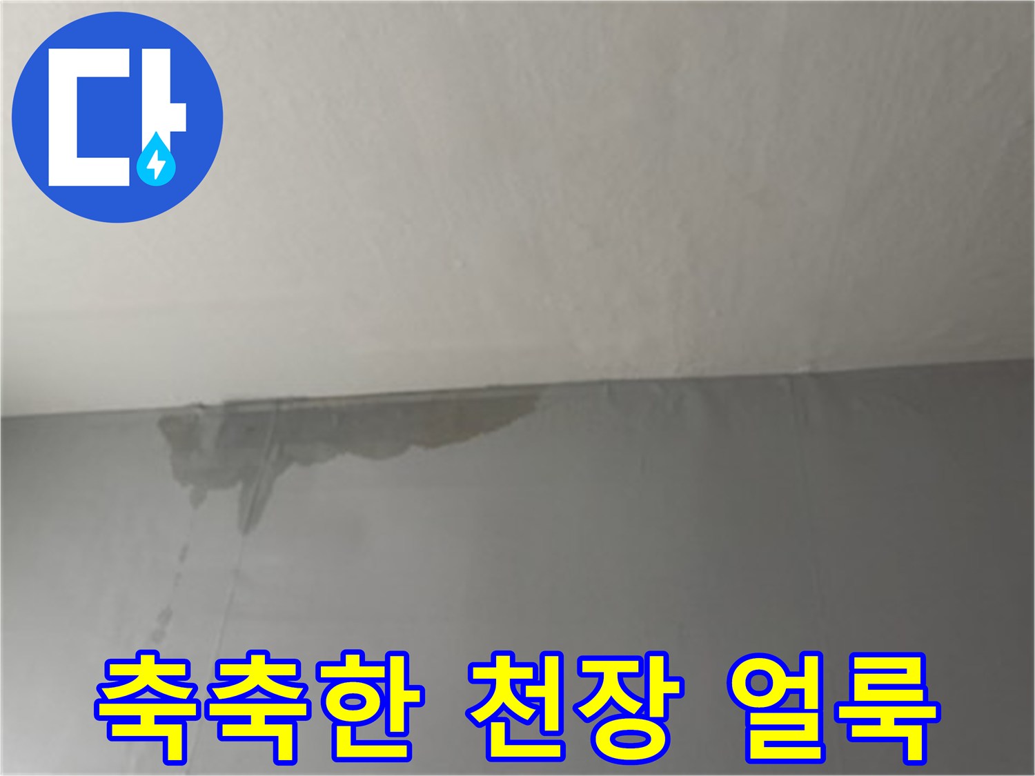 물에 젖어 어둡게 변한 천장 마감재