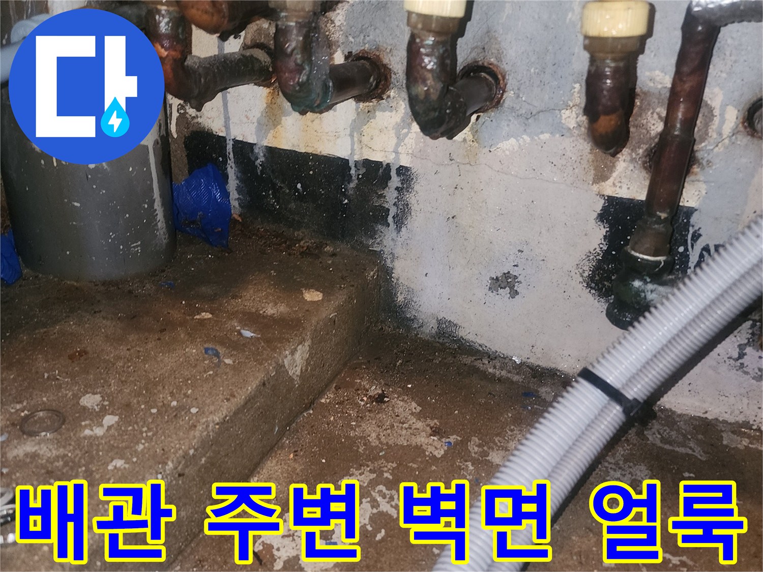 습기로 인해 변색된 배관 주변 벽면과 노출된 배관들