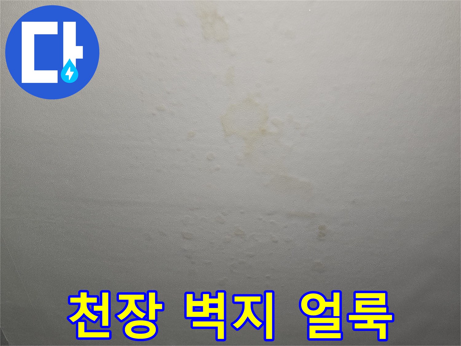 아파트 천장 벽지에 생긴 누수 흔적과 변색된 부분
