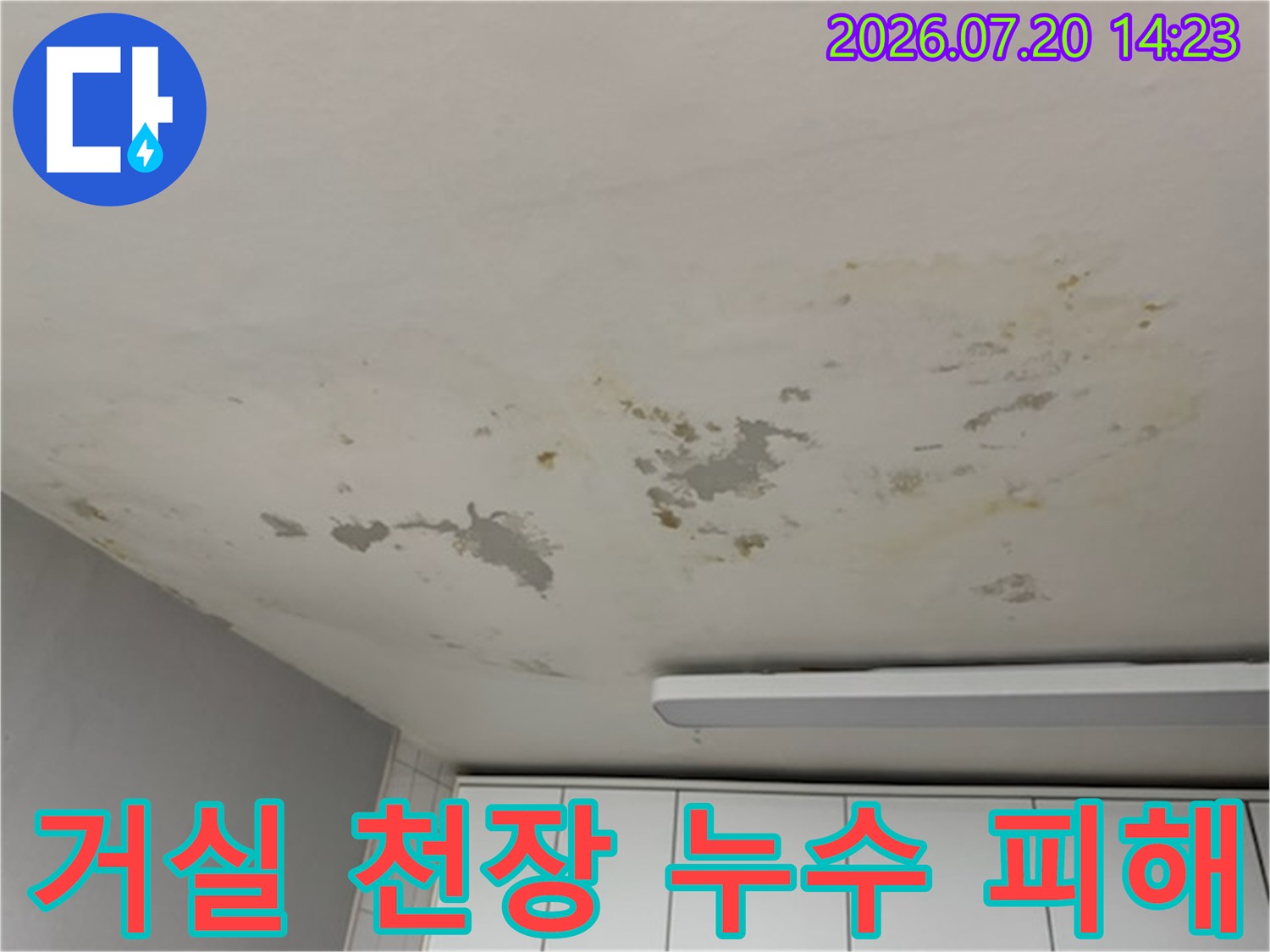 어느 한 곳에서 시작된 물이 퍼져나간 거실 천장 흔적