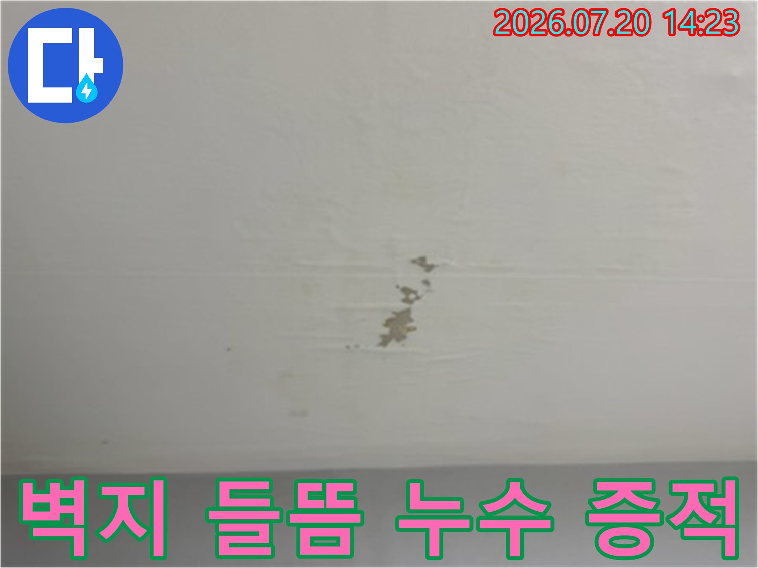 젖은 천장 벽지의 변색과 박리 현상