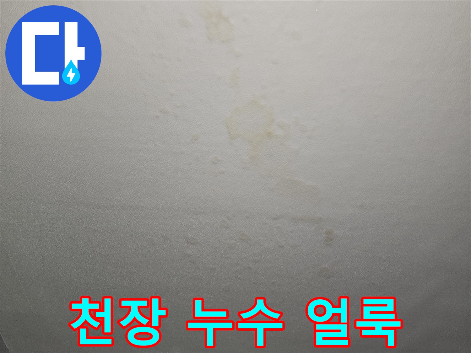 천장 벽면을 따라 번진 누수 흔적과 습기 부위