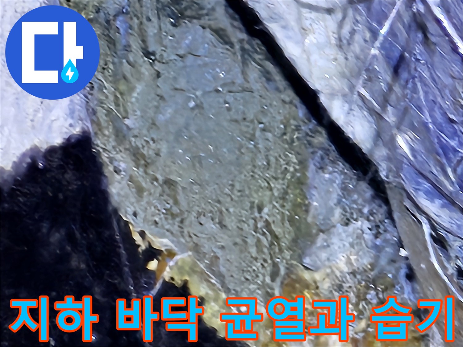 성남 현장의-지하 바닥면 균열 및 물 고임 상태