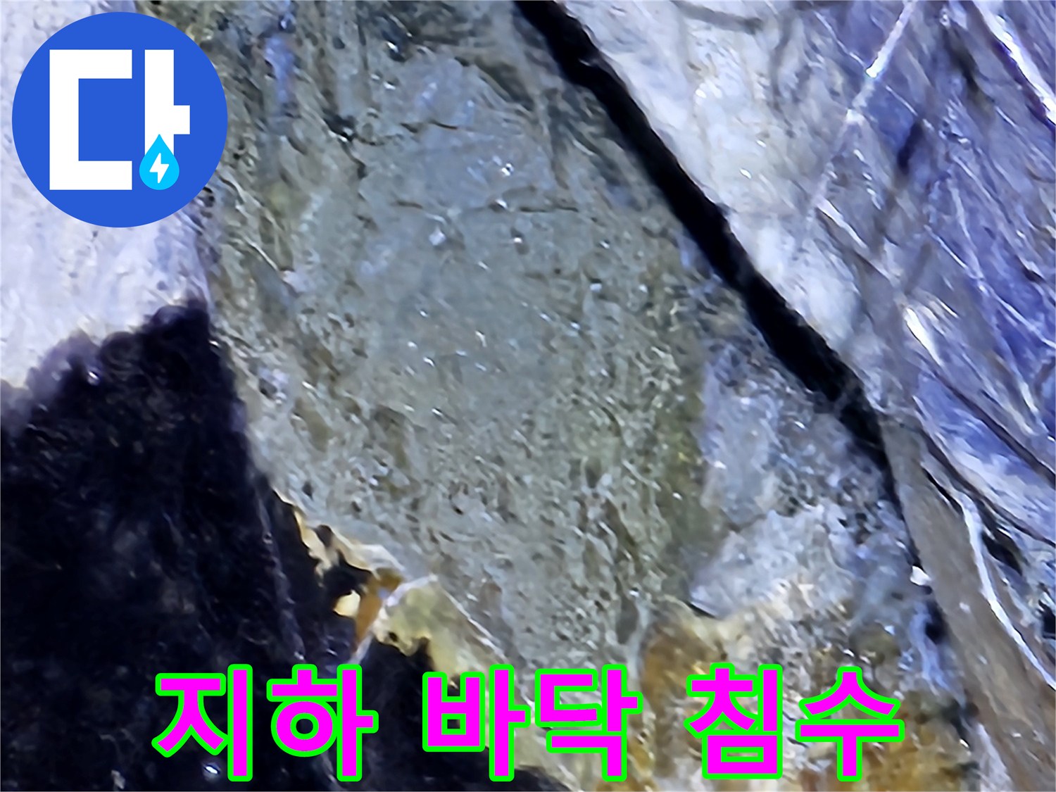 지하-1층-바닥-침수-및-물고임-부위