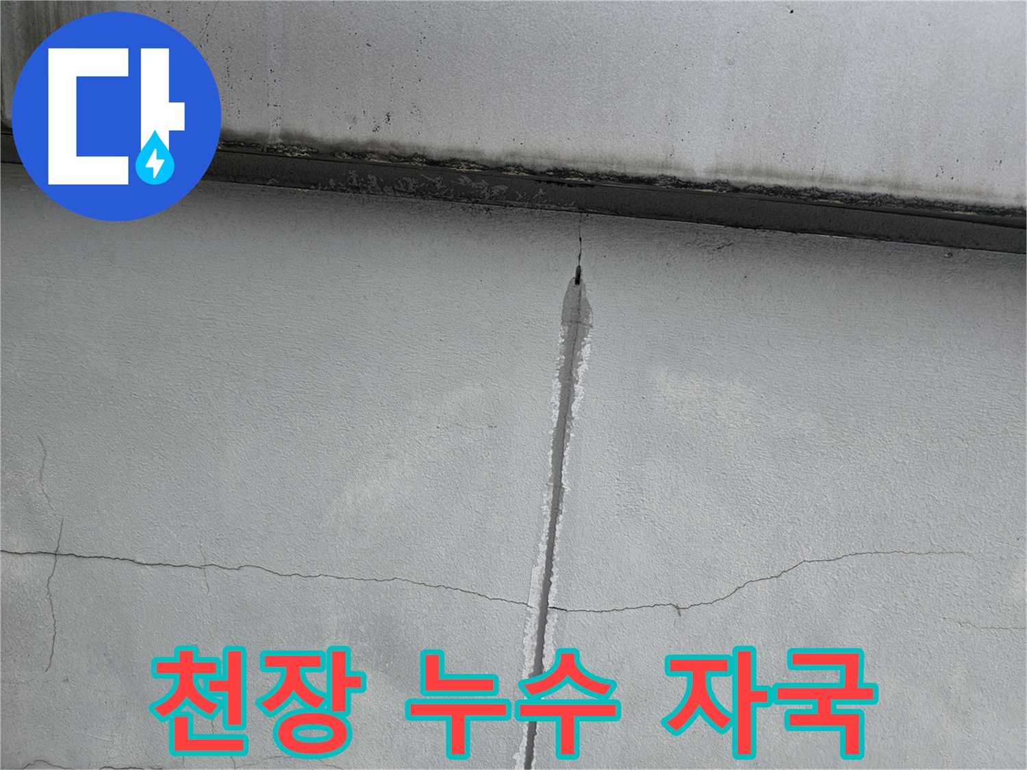 콘크리트 균열 사이로 스며든 습기와 물자국