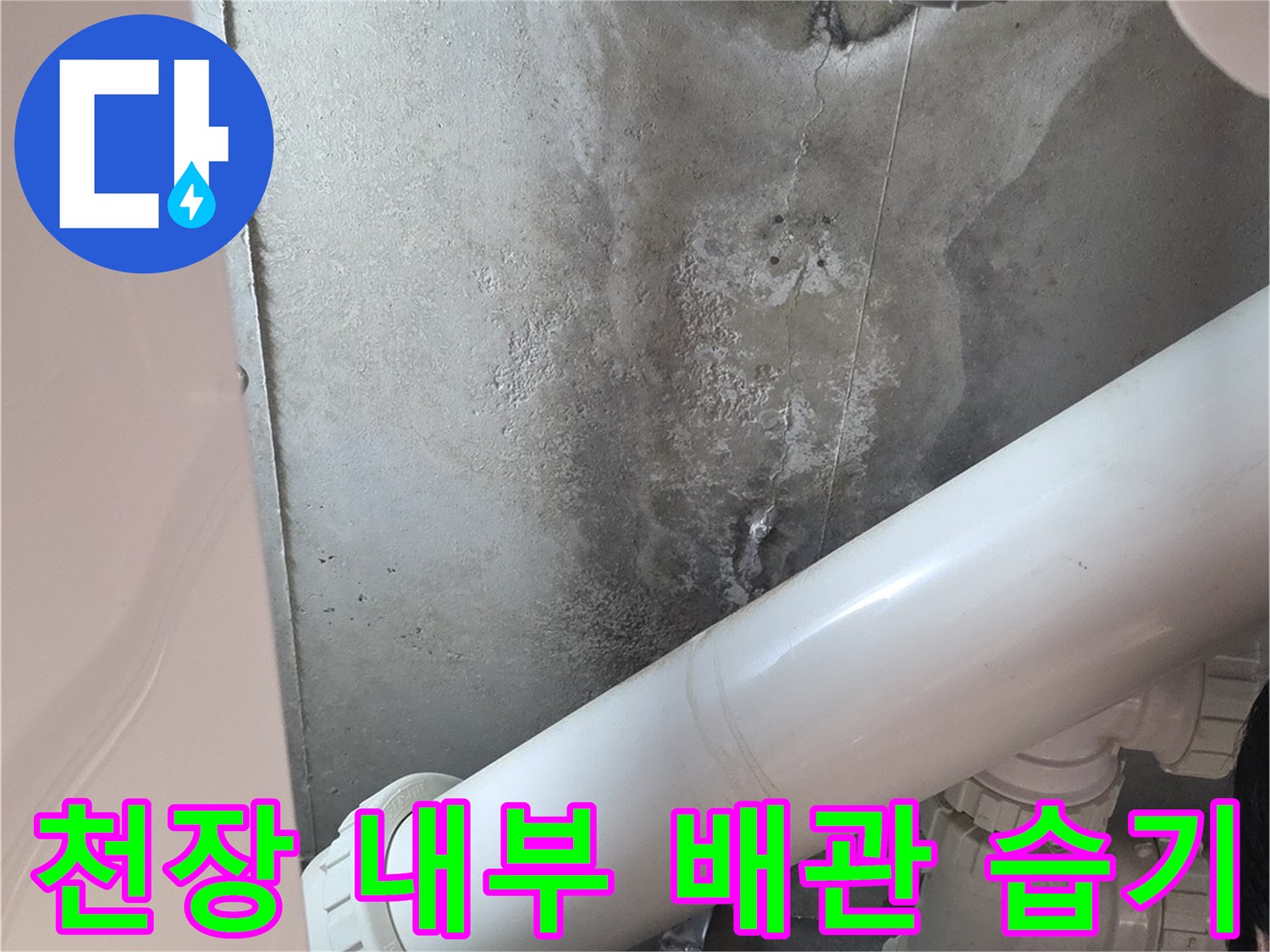 화장실 천장 배관 주변에 나타난 젖은 얼룩과 습기 상태