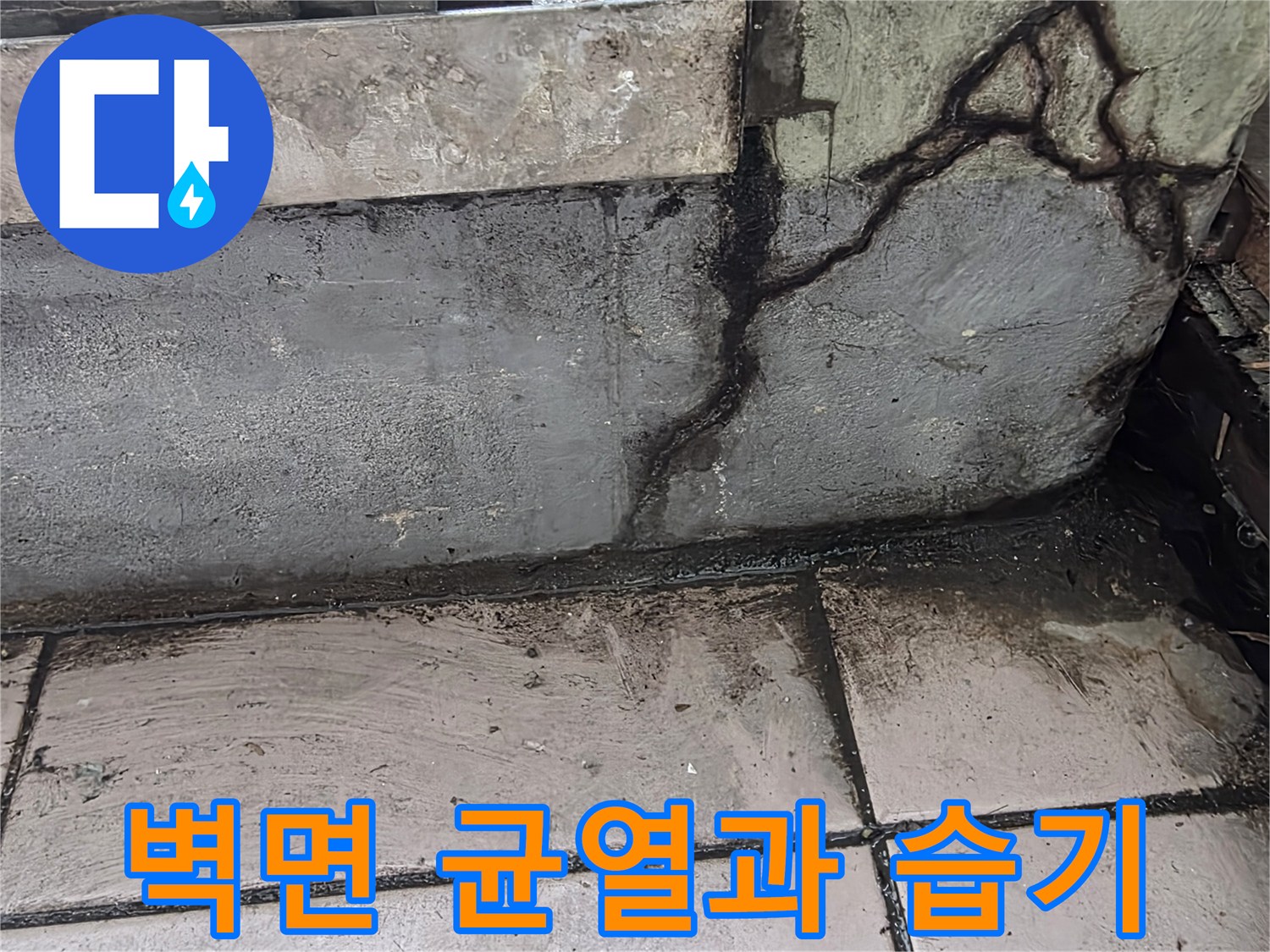 타일-균열-사이로-스며든-습기와-오염