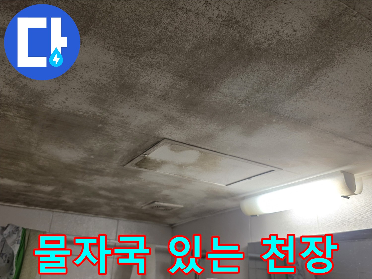 누수 피해로 인해 얼룩진 천장 면과 점검구 구조물